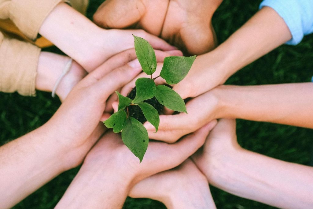 Consciência ambiental