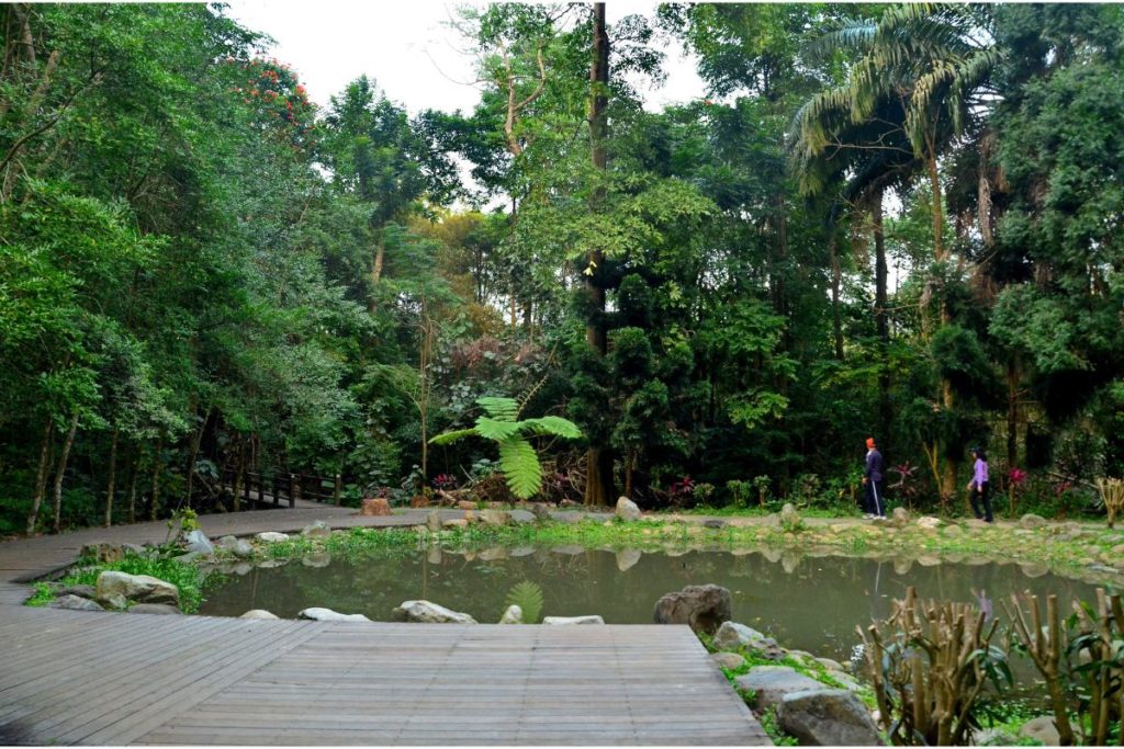 Jardim botânico na cidade