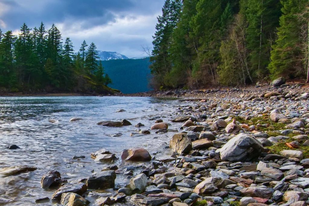 Preservação ambiental rio com pedras e arvores